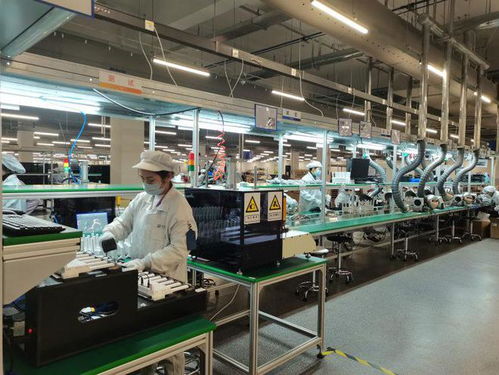 兩江新區軟件和信息服務業加速復工復產，信息服務業務迎來新發展