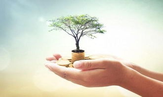 北京個(gè)人設(shè)計(jì)工作室注冊(cè)與運(yùn)營(yíng)全攻略 開(kāi)啟您的專業(yè)設(shè)計(jì)服務(wù)之路